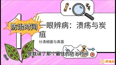 第三节：细菌与真菌&mdash;&mdash;溃疡病与炭疽病，课程：《柑橘十大病虫害：从入门到精通》