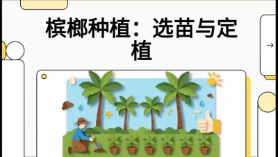 第01节：选苗与定植&mdash;&mdash;&ldquo;苗好一半收，底肥定千秋&rdquo;课程：《槟榔种植：从不懂到精通的10堂必修课》