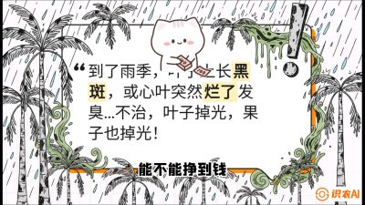 第05节：常见真菌病害&mdash;&mdash;&ldquo;炭疽与烂心，早防值千金&rdquo;《槟榔种植：从不懂到精通的10堂必修课》