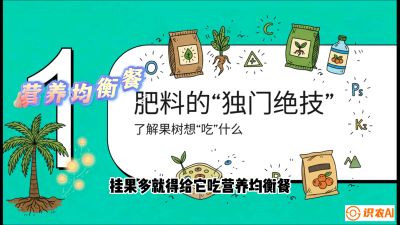 第07节：科学施肥&mdash;&mdash;&ldquo;氮磷钾配好，树壮果不倒