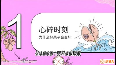 第08节：微量元素与保果&mdash;&mdash;&ldquo;补硼又补钙，果子不裂坏&rdquo;《槟榔种植：从不懂到精通的10堂必修课》