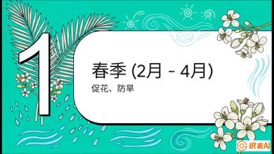 第10节：周年农事日历&mdash;&mdash;&ldquo;跟着节气走，丰产在手头&rdquo;《槟榔种植：从不懂到精通的10堂必修课》