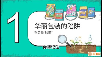 第4节：【黄金配方】底肥里的&ldquo;铁三角&rdquo;与&ldquo;微量雷区&rdquo;课程：《柑橘底肥&ldquo;翻身账&rdquo;：从改土到高产的实战全书》