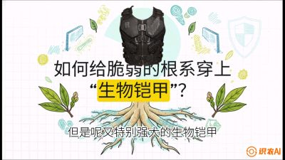 第三节：国产榴莲突围战：根系堡垒，菌根微生态构建与黄金定植窗口，课程：《国产榴莲突围战：从泰国经验到中国实操的8堂必修课（高阶实战版）》