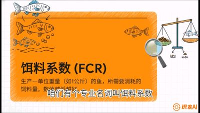 第五节：【高端单品&middot;鳜鱼】&ldquo;饲料鳜&rdquo;技术：打破吃活饵的高成本魔咒，课程：《黄金鳞甲：2025中国淡水鱼高效养殖实战营》
