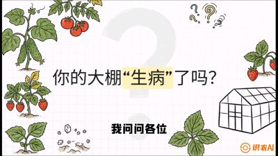 第2节（解毒篇）： 大棚里的&ldquo;红白绿&rdquo;警报&mdash;&mdash;读懂土壤盐渍化的求救信号，课程：《揭秘土壤的秘密：让土地帮你赚钱》#识农AI