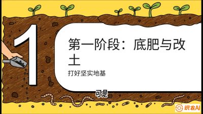 第6节（统筹篇）： 省钱又增产的&ldquo;黄金配比&rdquo;&mdash;&mdash;不同作物全年的养土实操方案，课程：《揭秘土壤的秘密：让土地帮你赚钱》#识农AI