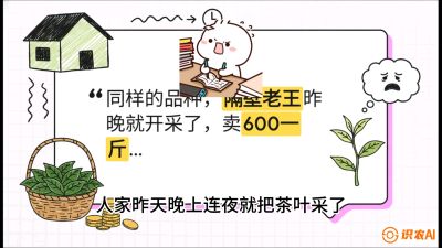 第01节（抢早篇）：与老天爷抢饭吃：如何利用&ldquo;温差阈值&rdquo;让头采茶提前5天上市？，课程：《茶金时代：从&ldquo;看天吃饭&rdquo;到&ldquo;精准控局&rdquo;的茶叶高产提质实战课》