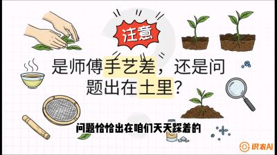 第02节（土肥篇）：告别&ldquo;苦涩水味&rdquo;：揭秘&ldquo;碳氮比&rdquo;调控术，种出自带兰花香的好茶底，课程：《茶金时代：从&ldquo;看天吃饭&rdquo;到&ldquo;精准控局&rdquo;的茶叶高产提质实战课》