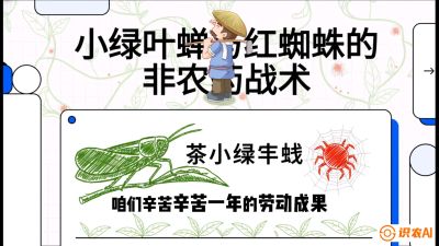 第03节（虫害篇）：看不见的吸血鬼：小绿叶蝉与红蜘蛛的&ldquo;非农药&rdquo;团灭战术（抗性治理），课程：《茶金时代：从&ldquo;看天吃饭&rdquo;到&ldquo;精准控局&rdquo;的茶叶高产提质实战课》