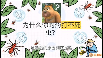 第4节：【虫害歼灭战】打不死的蓟马、隐形的茶黄螨：抗性时代的&ldquo;混配绝杀&rdquo;，课程：《辣椒种植实战特训营，从工业辣椒到精品小米辣，教你如何把&ldquo;草&rdquo;种成&ldquo;金&rdquo;》