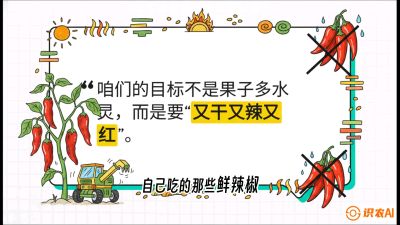 第7节：【工业辣椒专场】追求极致辣度！干物质提升与机械化采收的&ldquo;催红秘籍&rdquo;，课程：《辣椒种植实战特训营，从工业辣椒到精品小米辣，教你如何把&ldquo;草&rdquo;种成&ldquo;金&rdquo;》