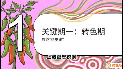 第8节：【小米辣线椒专场】颜值即正义！防花皮、防炭疽，打造收购商抢着要的&ldquo;精品果&rdquo;，课程：《辣椒种植实战特训营，从工业辣椒到精品小米辣，教你如何把&ldquo;草&rdquo;种成&ldquo;金&rdquo;》