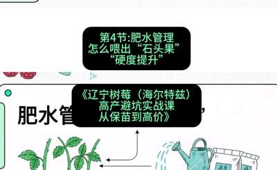 第四节： 肥水管理&mdash;&mdash;怎么喂出&ldquo;石头果&rdquo;（硬度提升），课程：《辽宁树莓（海尔特兹）高产避坑实战课：从保苗到高价》