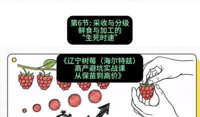 第六节： 采收与分级&mdash;&mdash;鲜食与加工的&ldquo;生死时速&rdquo;，课程：《辽宁树莓（海尔特兹）高产避坑实战课：从保苗到高价》