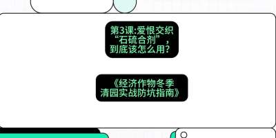 第3节：【核武药剂】爱恨交织的&ldquo;石硫合剂&rdquo;，到底该怎么用？，课程：《经济作物冬季清园&middot;实战防坑指南》#识农AI