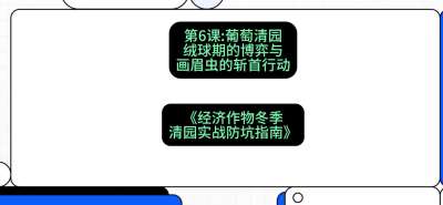 第6节：【葡萄清园】绒球期的博弈与画眉虫的&ldquo;斩首行动&rdquo;，课程：《经济作物冬季清园&middot;实战防坑指南》#识农AI