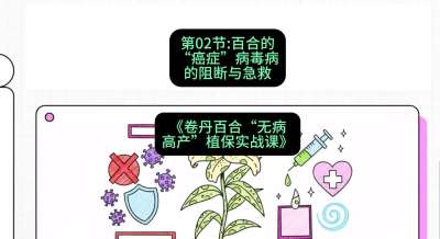 第02节：百合的&ldquo;癌症&rdquo;&mdash;&mdash;病毒病的阻断与急救，课程：《卷丹百合&ldquo;无病高产&rdquo;植保实战课》#识农AI