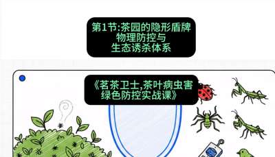 第01节：茶园的&ldquo;隐形盾牌&rdquo;&mdash;&mdash;物理防控与生态诱杀体系，课程：《茗茶卫士&mdash;&mdash;茶叶病虫害绿色防控实战课》#识农AI