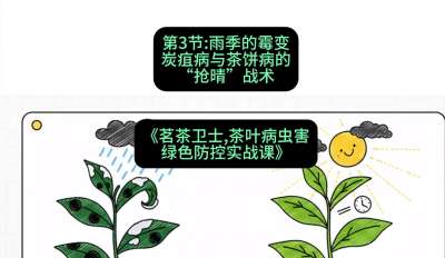 第03节：雨季的霉变&mdash;&mdash;炭疽病与茶饼病的&ldquo;抢晴&rdquo;战术，课程：《茗茶卫士&mdash;&mdash;茶叶病虫害绿色防控实战课》#识农AI