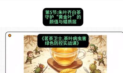 第05节：朱叶齐白茶&mdash;&mdash;守护&ldquo;黄金叶&rdquo;的颜值与蜡质层（重点），课程：《茗茶卫士&mdash;&mdash;茶叶病虫害绿色防控实战课》#识农AI