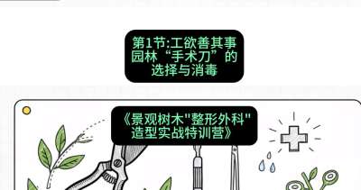 第01节：工欲善其事&mdash;&mdash;园林&ldquo;手术刀&rdquo;的选择与消毒，课程：《景观树木&ldquo;整形外科&rdquo;造型实战特训营》#识农AI