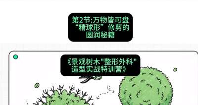 第02节：万物皆可盘&mdash;&mdash;&ldquo;精球形&rdquo;修剪的圆润秘籍，课程：《景观树木&ldquo;整形外科&rdquo;造型实战特训营》#识农AI