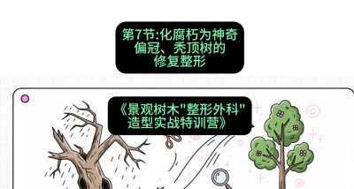 第07节：化腐朽为神奇&mdash;&mdash;偏冠、秃顶树的修复整形，课程：《景观树木&ldquo;整形外科&rdquo;造型实战特训营》#识农AI