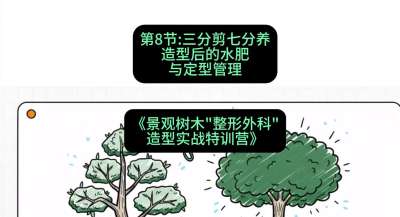 第08节：三分剪七分养&mdash;&mdash;造型后的水肥与定型管理，课程：《景观树木&ldquo;整形外科&rdquo;造型实战特训营》#识农AI