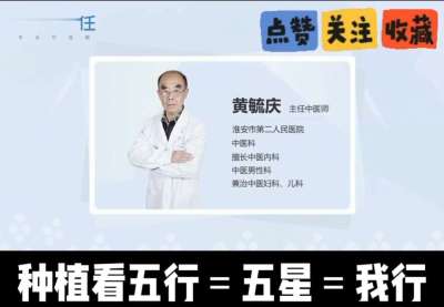 中药材淫羊藿怎么种？听专家一次讲明白！不挑地块好管理，耐寒耐旱省心省力，新手也能轻松上手，药用价值高、市场需求稳，妥妥的增收好品种～ 从生长习性到采收要点，干货满满无废话，种植疑问直接问，一对一答疑解