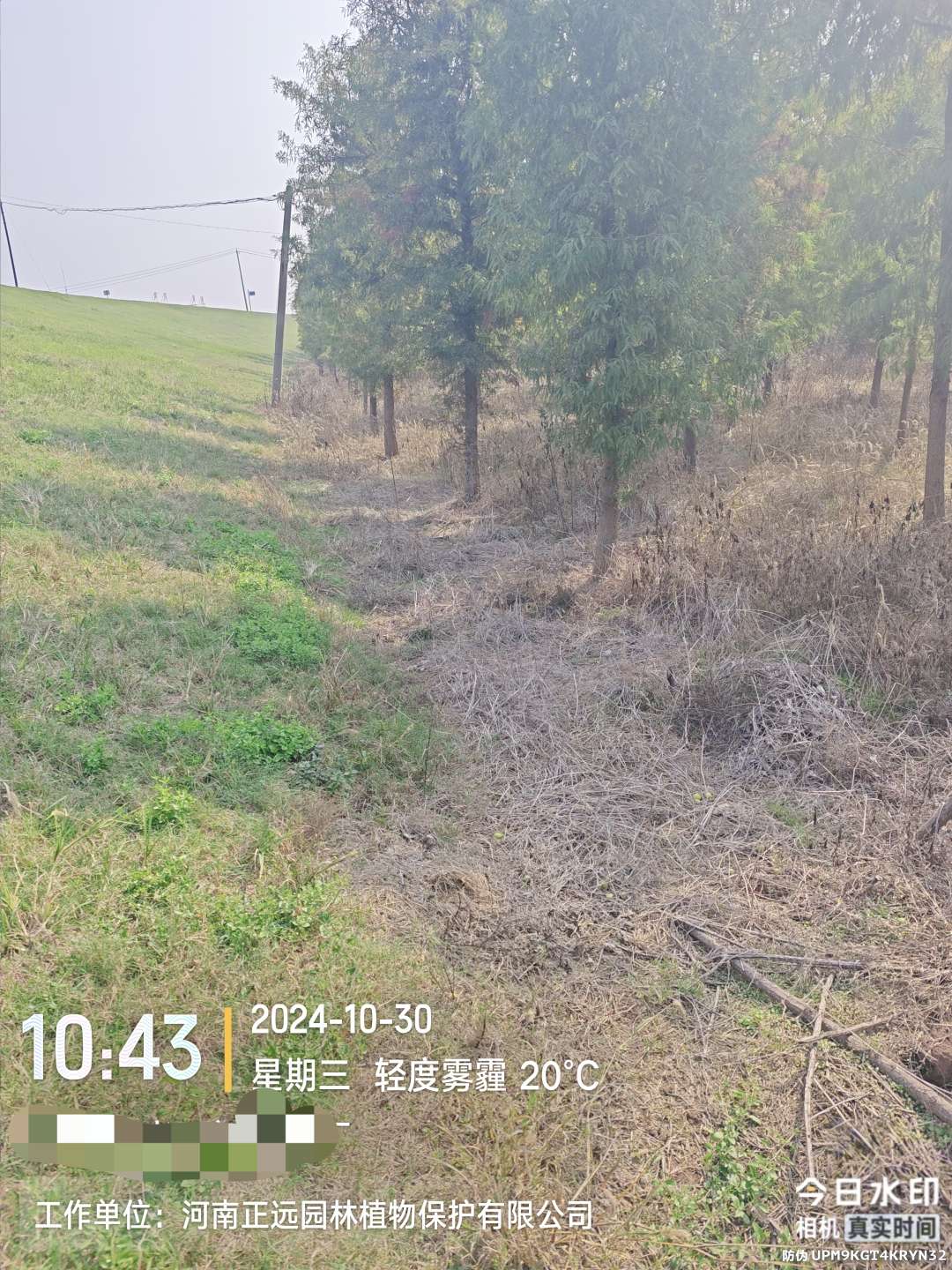 http://st-static1.jiangsugolf.com/forums/2026/02/02/17700008881705.jpeg