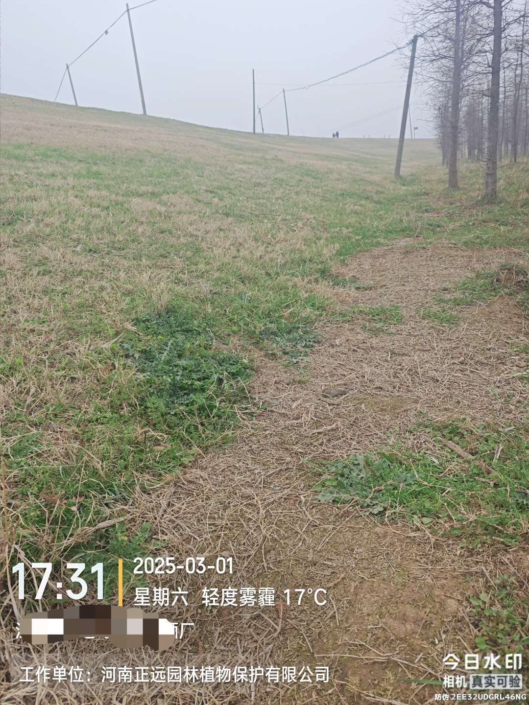 http://st-static1.jiangsugolf.com/forums/2026/02/02/17700008893173.jpeg