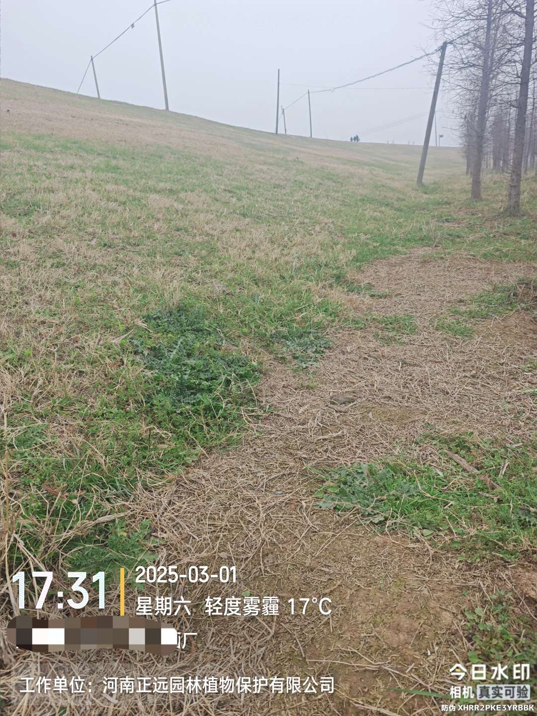 http://st-static1.jiangsugolf.com/forums/2026/02/02/17700008909278.jpeg