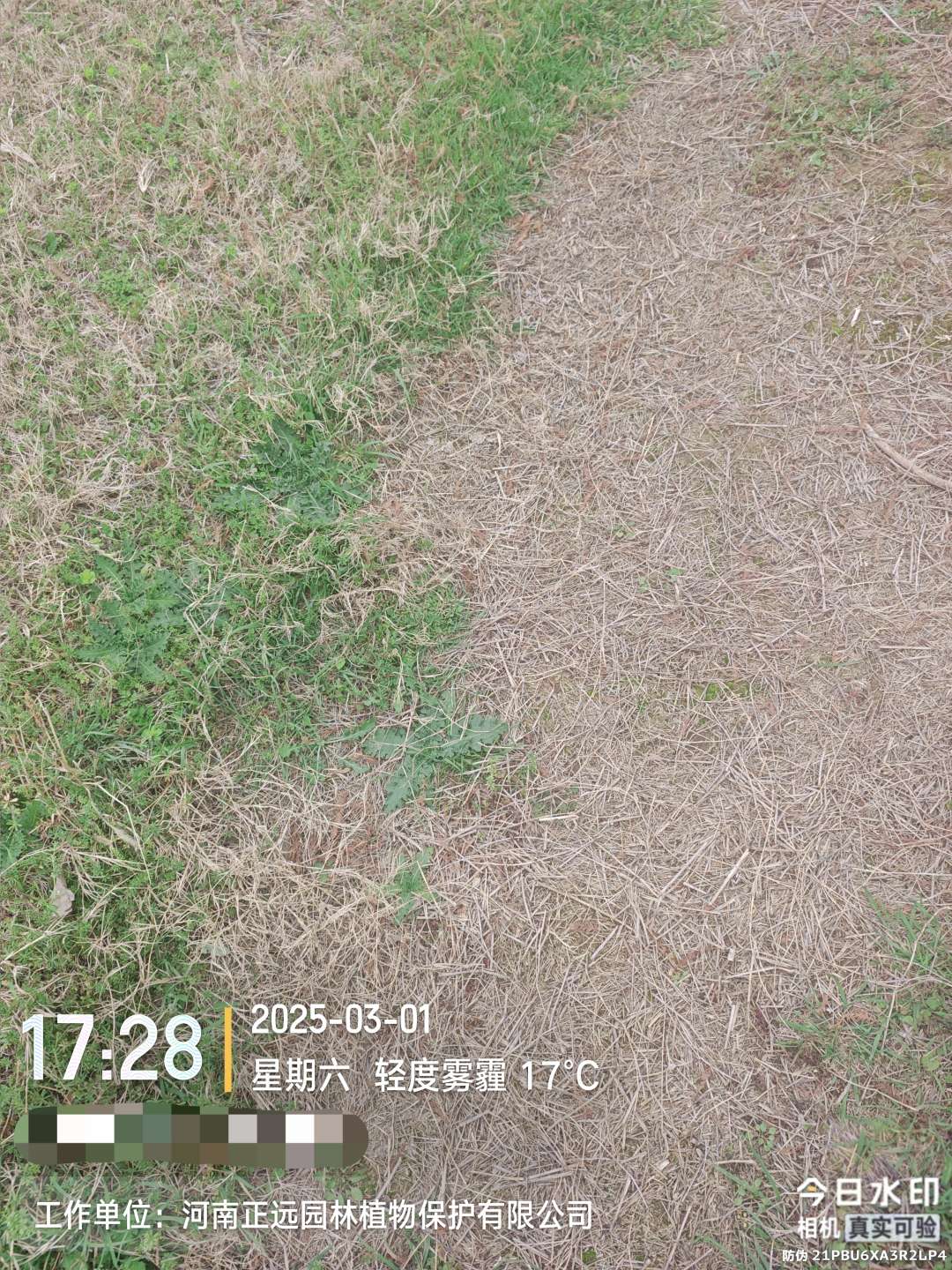 http://st-static1.jiangsugolf.com/forums/2026/02/02/17700008917448.jpeg