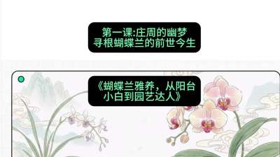 第一节：庄周的幽梦：寻根蝴蝶兰的前世今生，课程：《蝴蝶兰雅养六讲：从阳台小白到园艺达人》#识农AI