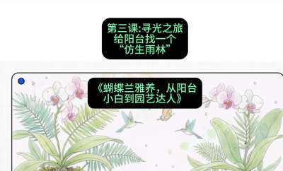 第三节：寻光之旅：给阳台找一个&ldquo;仿生雨林&rdquo;，课程：《蝴蝶兰雅养六讲：从阳台小白到园艺达人》#识农AI