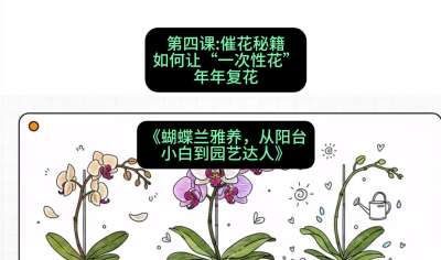 第四节：催花秘籍：如何让&ldquo;一次性花&rdquo;年年复花，课程：《蝴蝶兰雅养六讲：从阳台小白到园艺达人》#识农AI