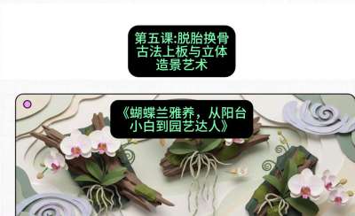 第五节：脱胎换骨：古法上板与立体造景艺术，课程：《蝴蝶兰雅养六讲：从阳台小白到园艺达人》#识农AI