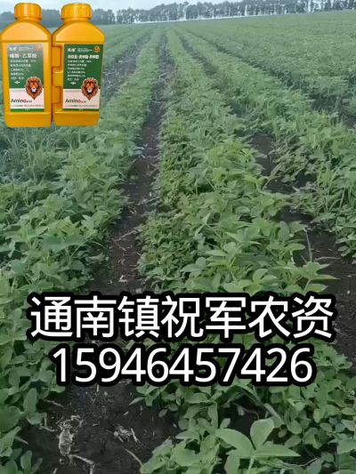 大豆苗前封闭，可封红根苋菜，灰菜，兰花菜，野豆子，捞豆秧等恶性杂草，封杀兼备的高端产品。