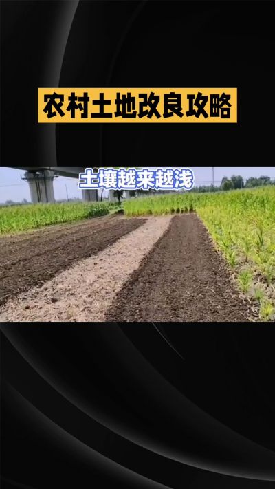 1. 先搞懂：你到底要改良哪块地、种什么
 
- 土土土在哪里？
就是你自家农田、菜地、果园，哪块地想种庄稼，就测哪块地的土。
​
- 有水没有水？
有水能浇：改良更省事，施肥、调酸碱都好操作。
没水