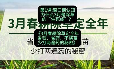 第1节：窗口期认知，为什么3月是除草的&ldquo;生死线&rdquo;？，课程：《3月春耕除草定全年：省钱、省药、不烧苗、少打两遍药的秘密》