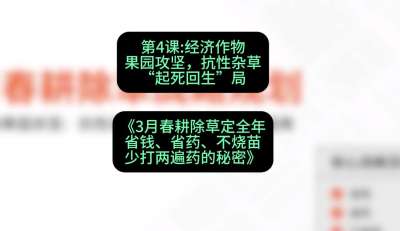 第4节：经济作物果园攻坚，抗性杂草&ldquo;起死回生&rdquo;局，课程：《3月春耕除草定全年：省钱、省药、不烧苗、少打两遍药的秘密》
