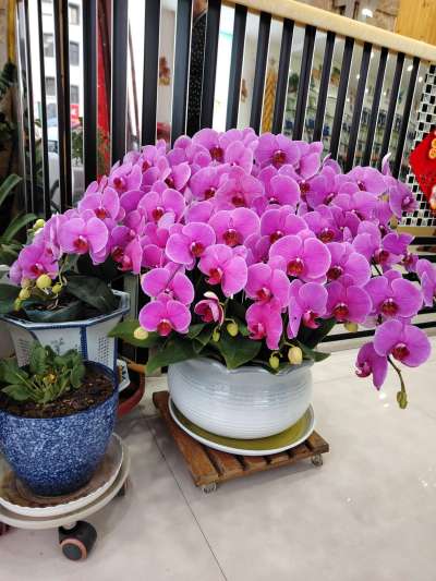http://st-static1.jiangsugolf.com/forums/2026/03/13/17733634635114.jpeg